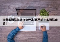 哪些公司能做区块链开发[区块链小公司能去嘛]